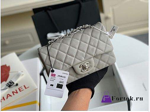 Chanel Mini Flap Bag Silver-tone Metal Grained Leather Gray 20cm - 1