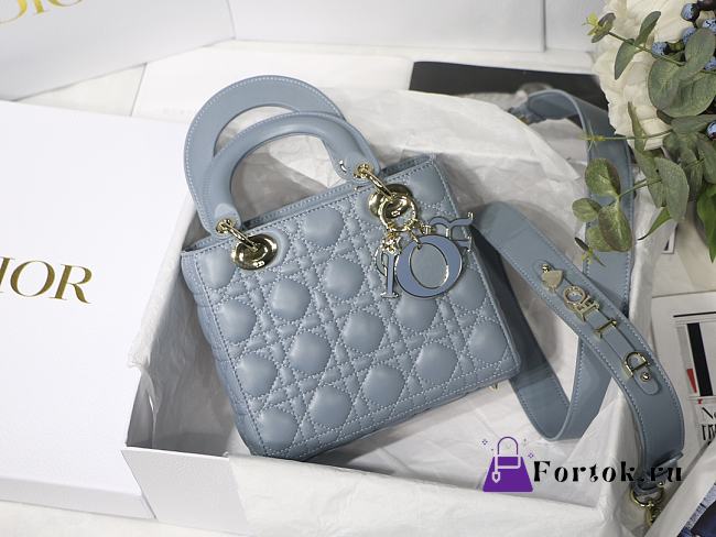 Dior Lady Dior My Aaccdior Bag Cannage Leather Sky Blue M0538 20x16.5x8cm - 1