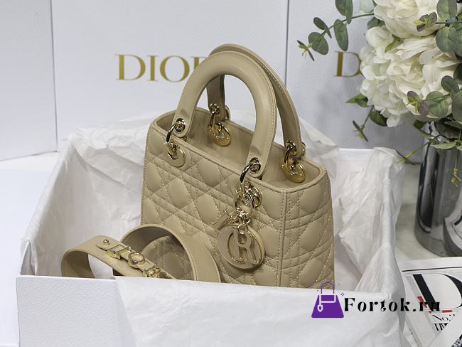 Dior Lady Dior My Aaccdior Bag Cannage Leather Light Beige M0538 20x16.5x8cm - 1