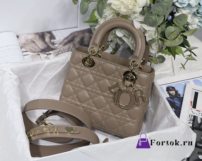 Dior Lady Dior My Aaccdior Bag Cannage Leather Dark Beige M0538 20x16.5x8cm - 1