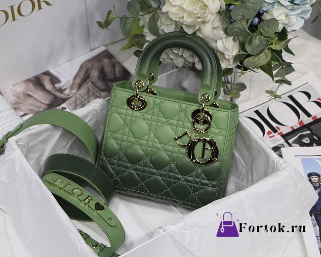 Dior Lady Dior MyABC Cannage Leather Gradient Green M0538 20cm - 1