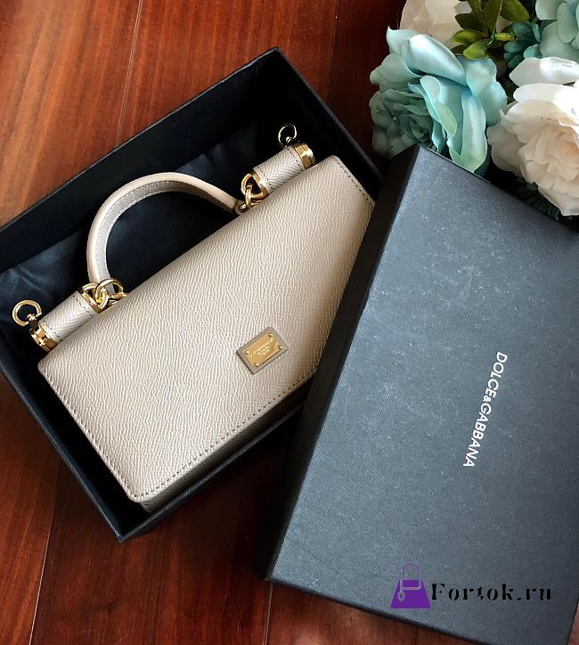 DolceGabbana Mini Phone Bag With Chain Grained Leather Apricot 19x11x3.5cm  - 1