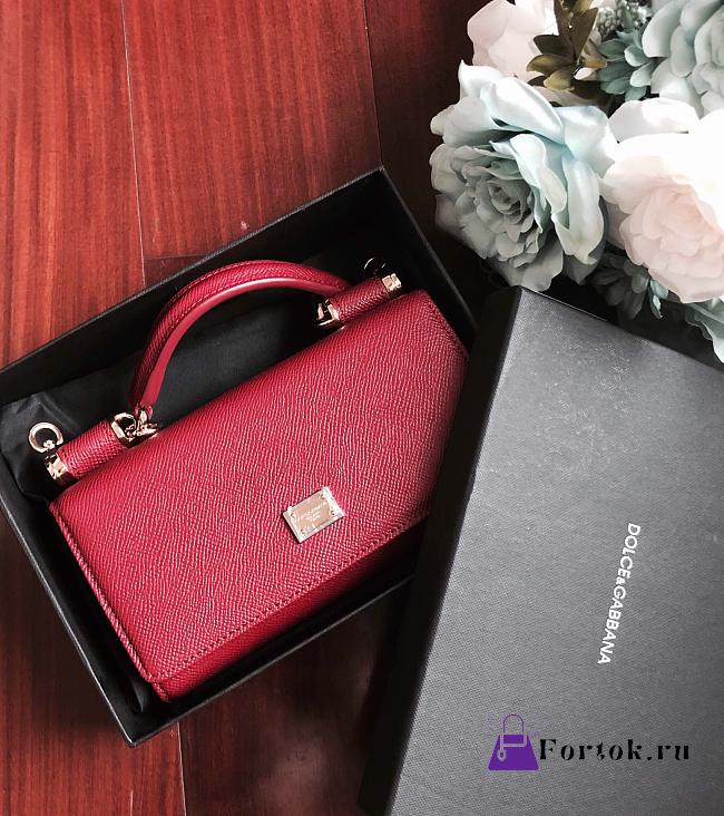 DolceGabbana Mini Phone Bag With Chain Grained Leather Red 19x11x3.5cm  - 1