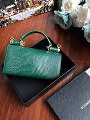 DolceGabbana Mini Phone Bag With Chain Crocodile Leather Green 19x11x3.5cm - 5
