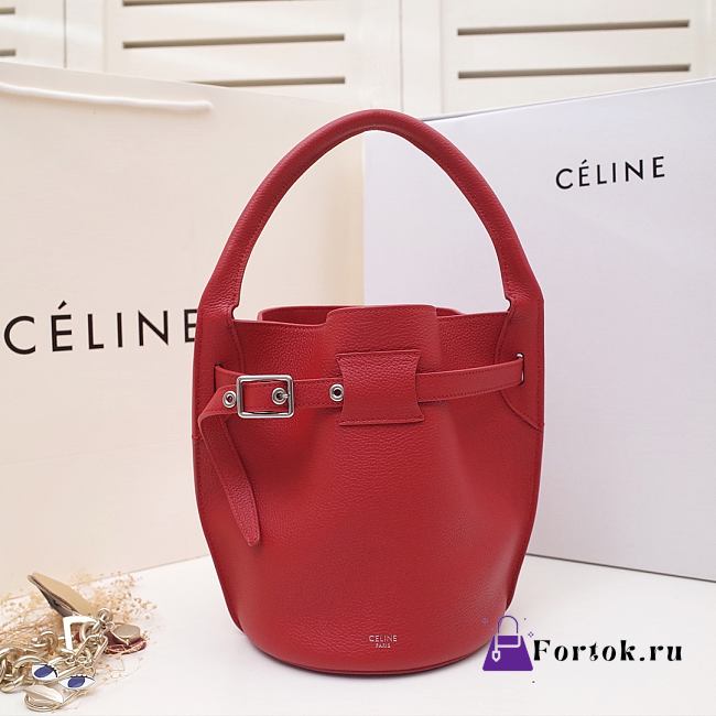 Celine Big Bag Nano Bucket Smooth Leather Red 187243 21x15x15cm - 1