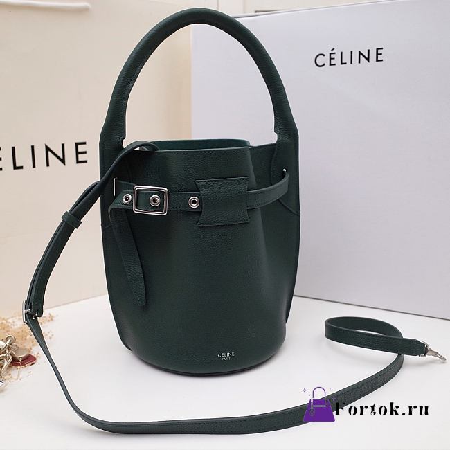 Celine Big Bag Nano Bucket Smooth Leather Dark Green 187243 21x15x15cm - 1