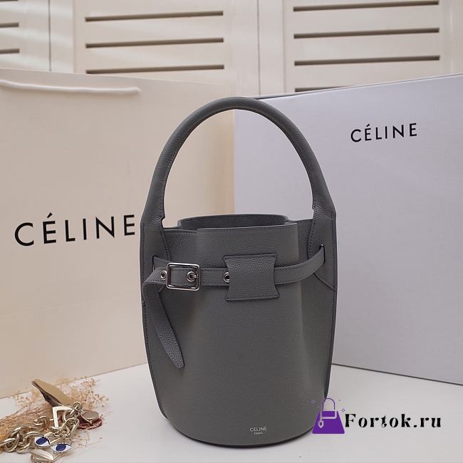 Celine Big Bag Nano Bucket Smooth Leather Gray 187243 21x15x15cm - 1