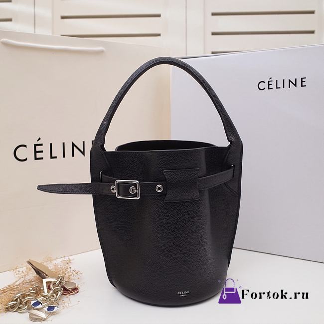 Celine Big Bag Nano Bucket Smooth Leather Black 187243 21x15x15cm - 1