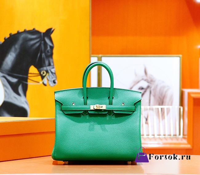 Hermes Birkin Togo In Smooth Leather Green 25cm - 1