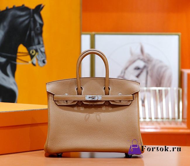 Hermes Birkin Togo In Smooth Leather Brown 25cm - 1