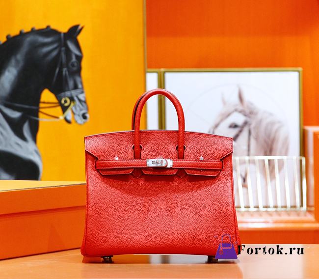 Hermes Birkin Togo In Smooth Leather Red 25cm - 1