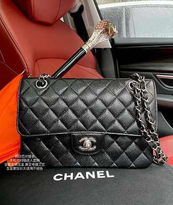 Chanel Small Classic Handbag In Grained Leather Silver-tone Metal A01113 23x14.5x6cm