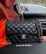 Chanel Small Classic Handbag In Leather Silver-tone Metal A01113 23x14.5x6cm - 1