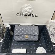 Chanel Mini Classic Flap Bag Leather Gold-tone Metal Gray A01116 20cm - 1