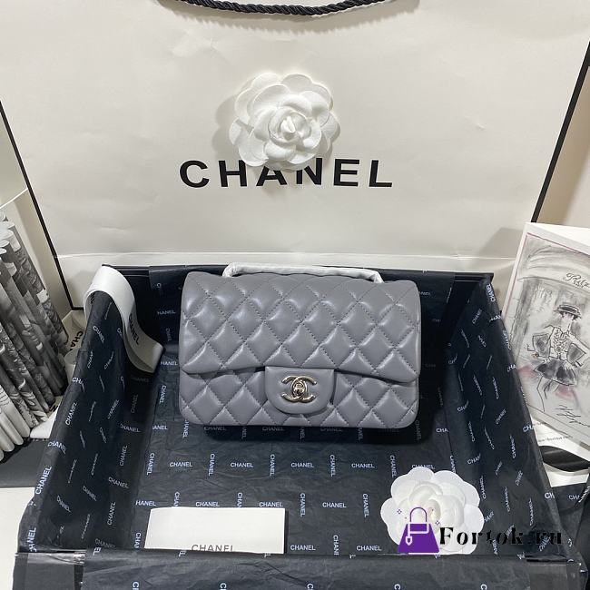 Chanel Mini Classic Flap Bag Leather Silver-tone Metal Gray A01116 20cm - 1