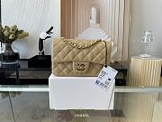 Chanel Mini Classic Flap Bag Leather Gold-tone Metal Beige A01116 20cm - 1