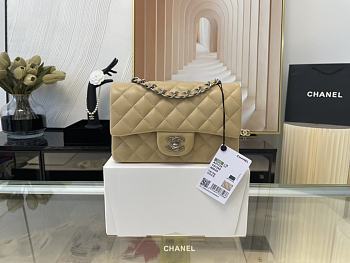 Chanel Mini Classic Flap Bag Leather Silver-tone Metal Beige A01116 20cm