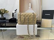 Chanel Mini Classic Flap Bag Leather Silver-tone Metal Beige A01116 20cm - 4