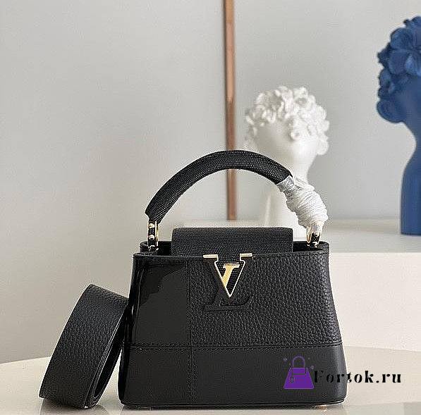 Louis Vuitton Capucines Mini Matte And Iridescent Black M59268 21x14x8cm - 1