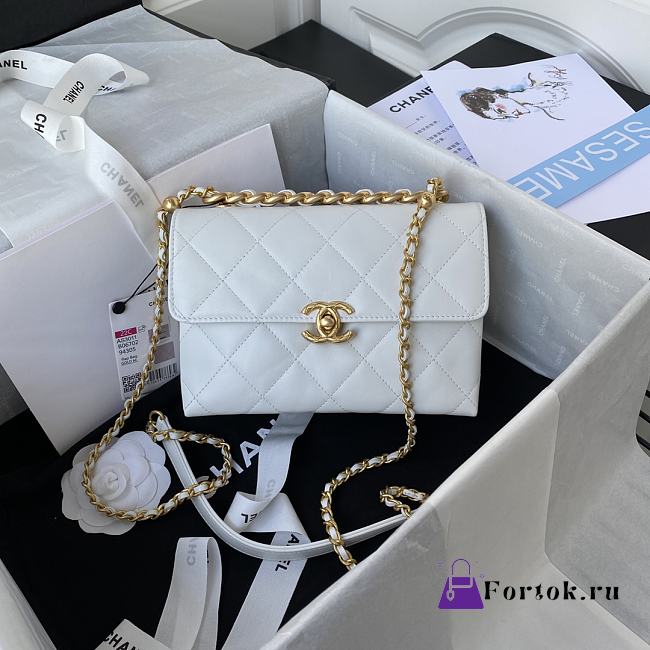 Chanel Small Flap Bag White AS3011 21x13x7cm - 1