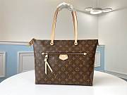 Louis Vuitton Iena MM Monogram Canvas 42x27x17cm - 1