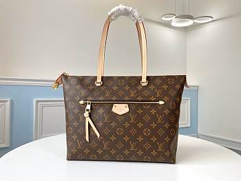 Louis Vuitton Iena MM Monogram Canvas 42x27x17cm