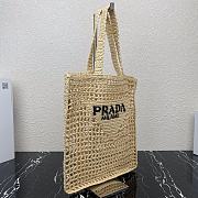 Prada Raffia Tote Bag Tan 1BG393 36x38x3cm 