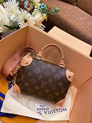 Louis Vuitton Petite Malle Souple Pink M45571 20x14x7.5cm 