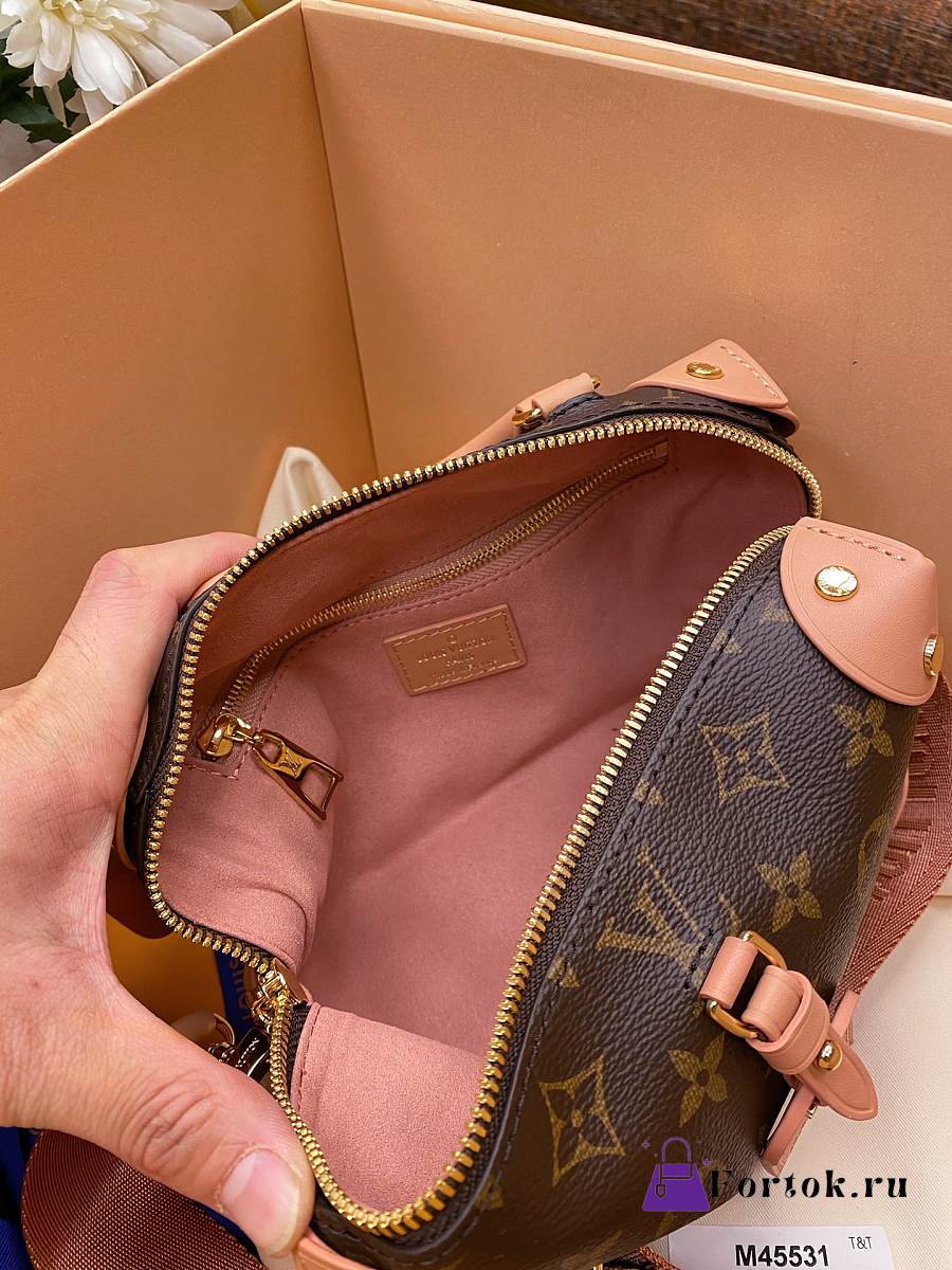 Louis Vuitton Petite Malle Souple Pink M45571 20x14x7.5cm 