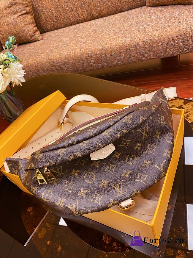 Louis Vuitton Bumbag M43644 37cm - 1