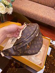 Louis Vuitton Bumbag M43644 37cm - 4
