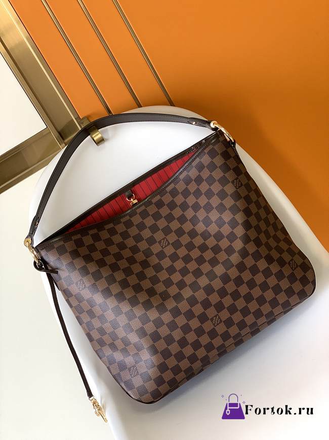 Louis Vuitton Delightful Damier Brown 41×33×15cm - 1
