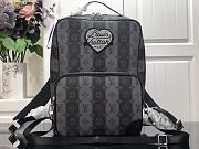 Louis Vuitton Utilitary Backpack M45962 30x42x14cm - 1