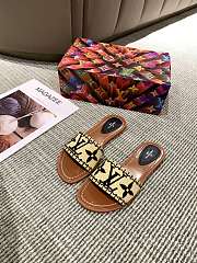 Louis Vuitton Raffia Slide Black - 3