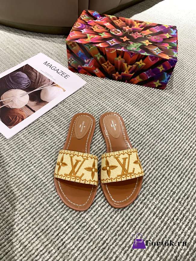 Louis Vuitton Raffia Slide Brown - 1