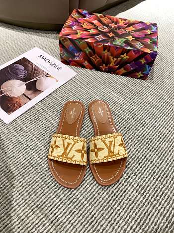 Louis Vuitton Raffia Slide Brown