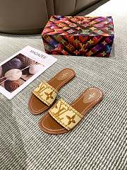 Louis Vuitton Raffia Slide Brown - 2