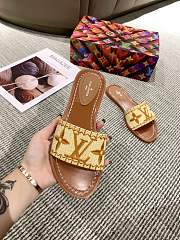 Louis Vuitton Raffia Slide Brown - 4