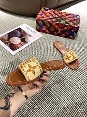 Louis Vuitton Raffia Slide Brown - 5