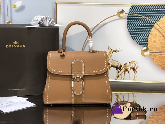 Delvaux Brillant MM Tan AA0555 28x14x21cm - 1