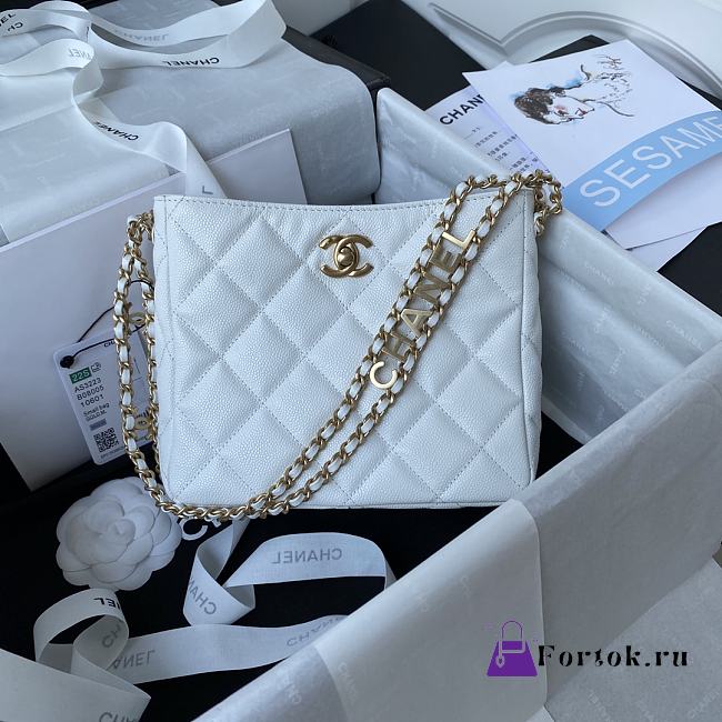 Chanel Small Hobo Bag Grained Leather White AS3223 16x19x8cm  - 1