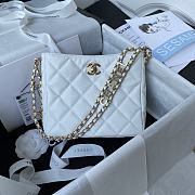 Chanel Small Hobo Bag Grained Leather White AS3223 16x19x8cm  - 1