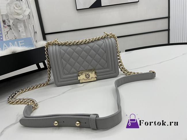 Chanel Small LeBoy Grained Leather Gold-tone Metal Gray A67085 20cm - 1
