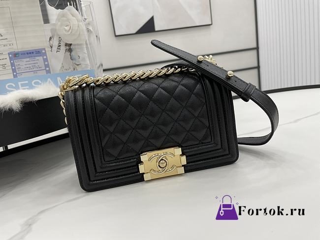 Chanel Small LeBoy Grained Leather Gold tone Metal in Black A67085 20cm - 1