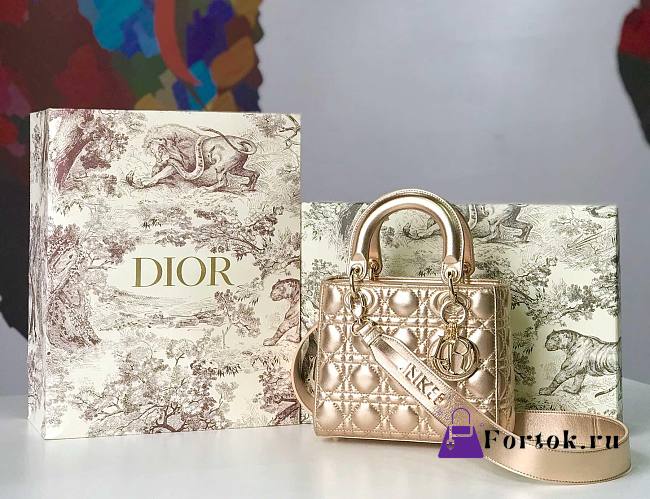 Dior Small Lady Abcdior Bag Cannage Lambskin Gold-tone M0538 20cm  - 1
