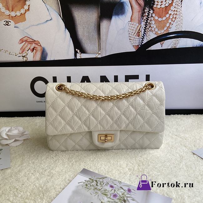 Chanel 2.55 Reissue Handbag Aged Calfskin White A37586 16x24x7.5cm - 1
