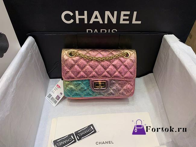 Chanel Mini 2.55 Rainbow Reissue Multicolor 20cm - 1