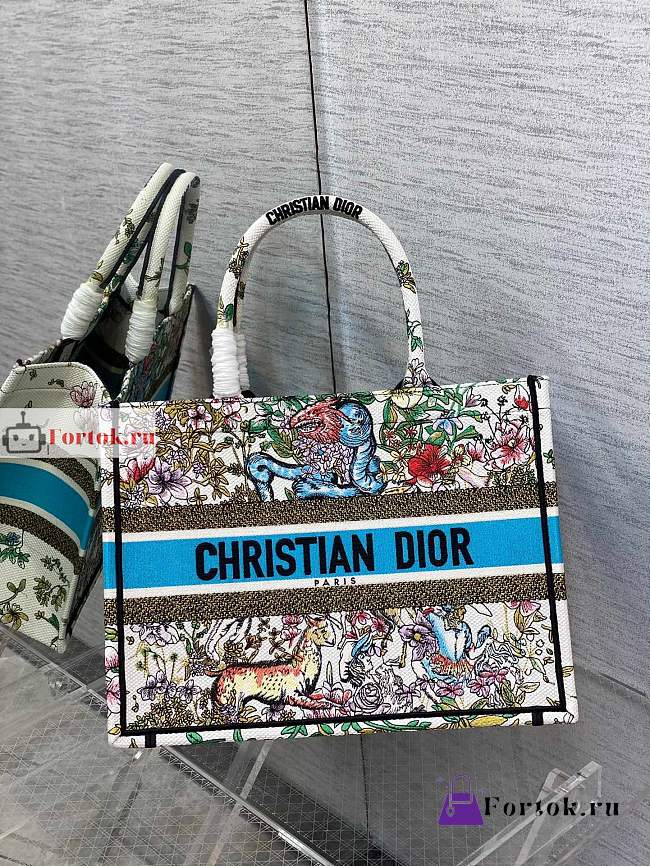 Dior Small Book Tote D-Constellation Embroidery Latte M1296 36×18×28cm - 1