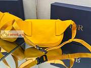 Dior World Tour Saddle Belt Bag Leather Yellow 19x14x6cm - 2