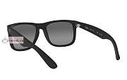 Rayban Justin Sunglasses Black - 6